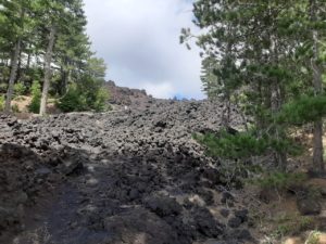 Immagine da una colata lavica sul fronte Nord dell'Etna